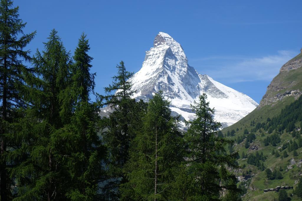 Studio Collinetta Zermatt Room photo